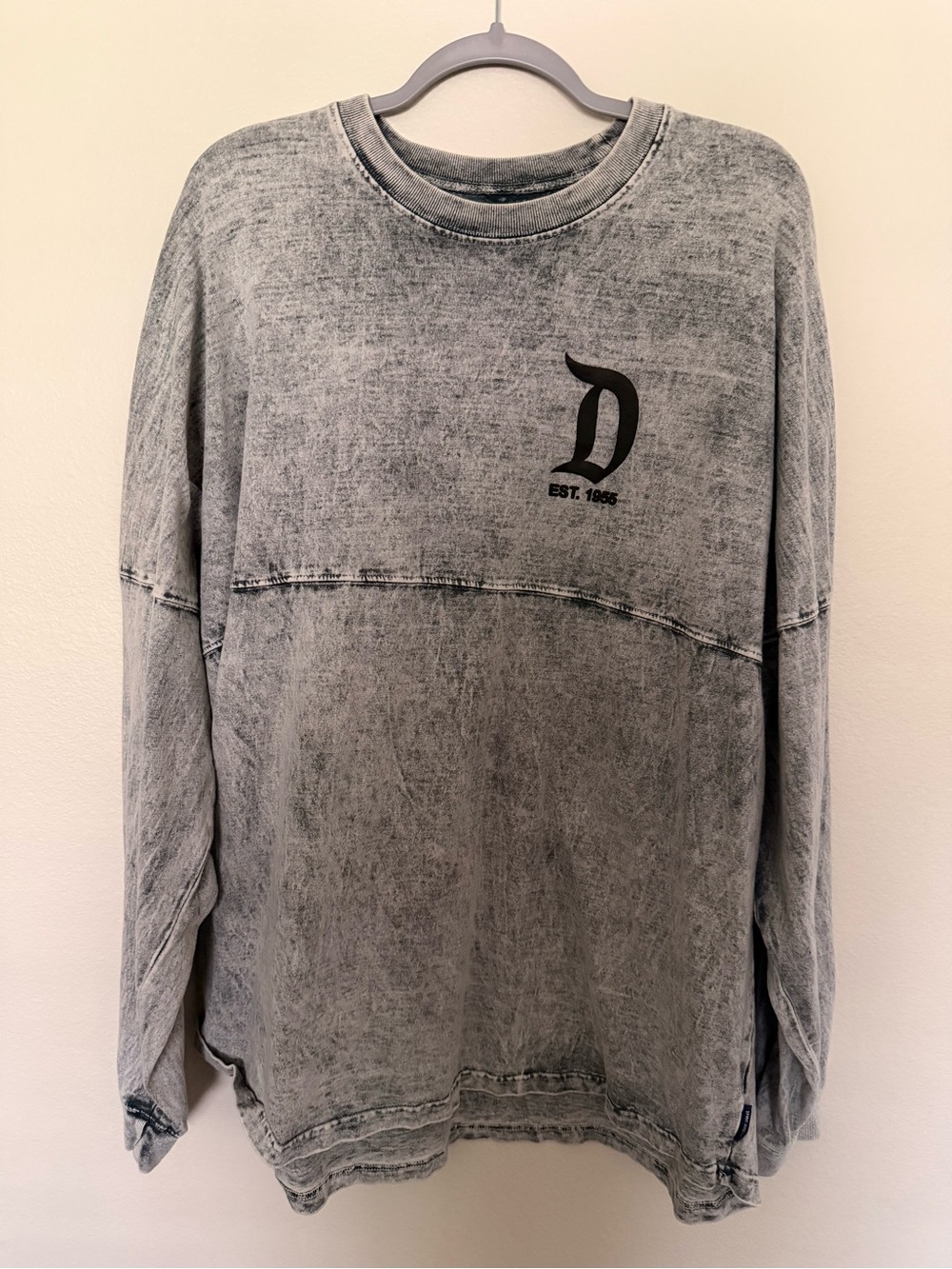 Disneyland Spirit Jersey